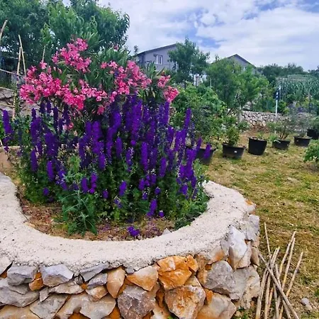 公寓 House Nirvana *